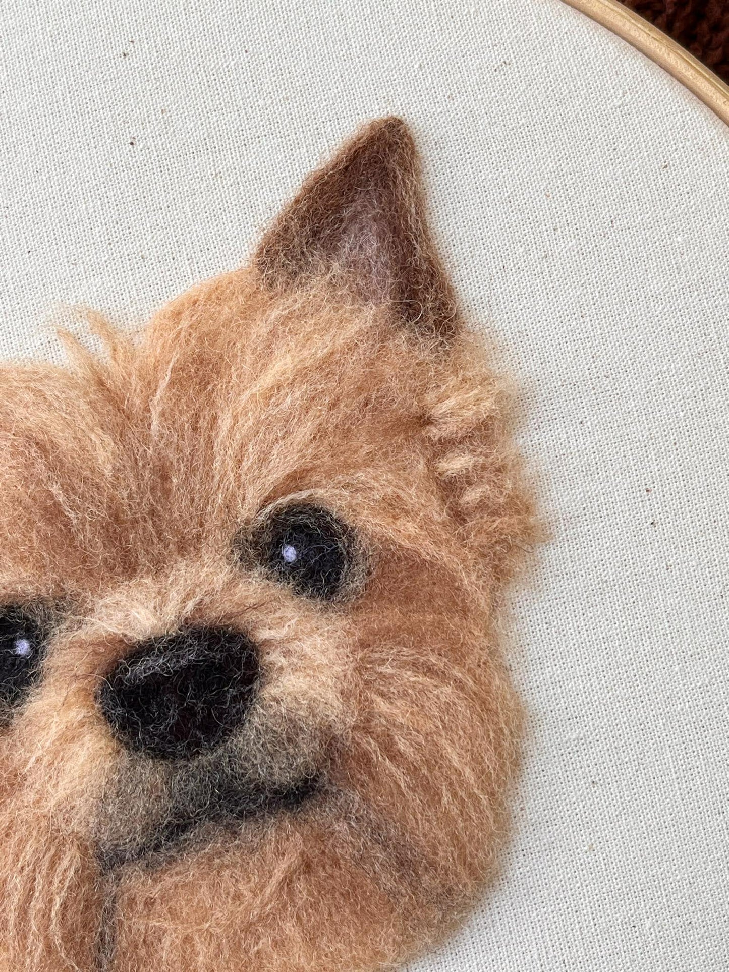 Pet Felt Portrait