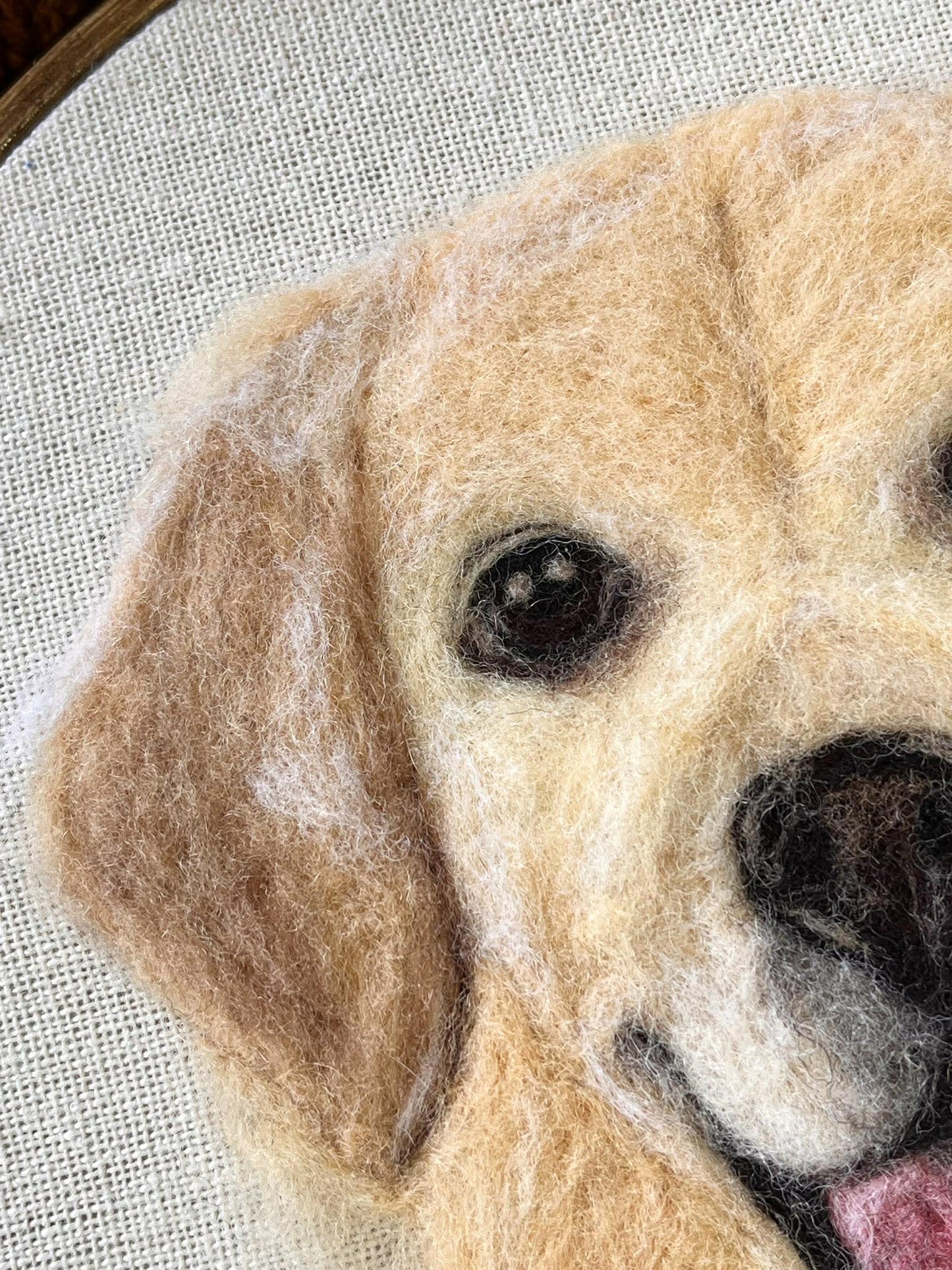 Pet Felt Portrait